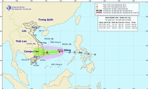 Bão số 12 hướng vào Phú Yên - Ninh Thuận, gió giật cấp 11